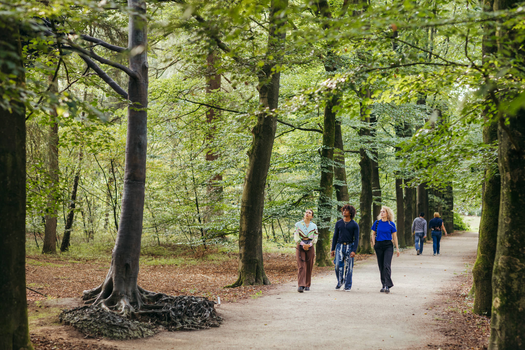 rie wandelaars bij een bronzen boom tussen andere bomen in de beeldentuin van het museum