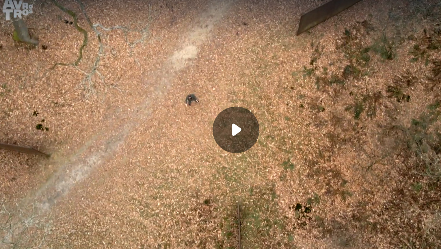 Man en kunst Museumweek Serra