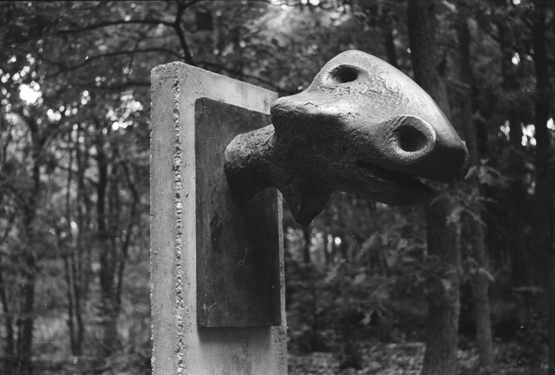 Henry Moore, Animal head, 1956
